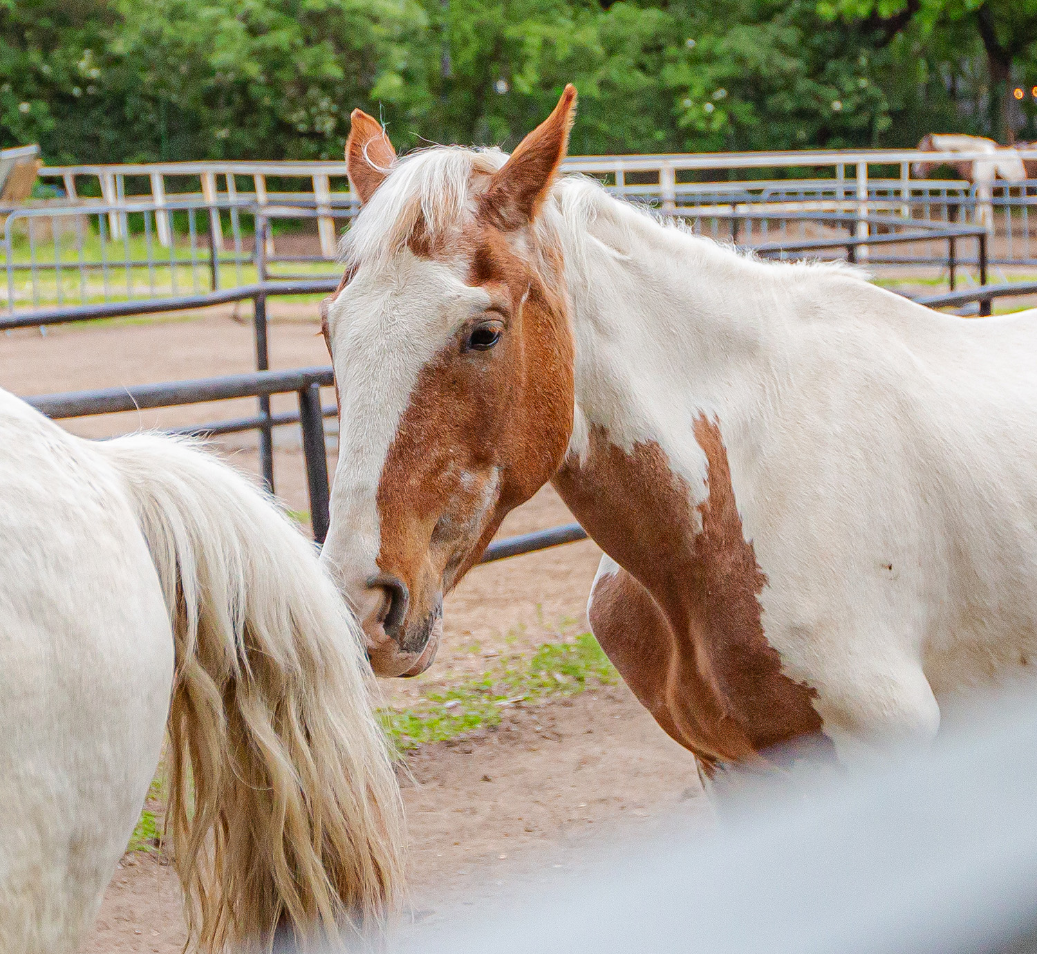 Attraktionen ⋆ Prater.at